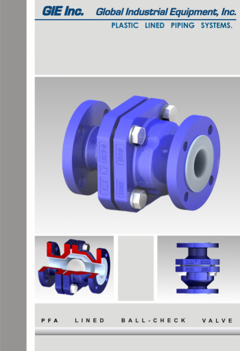 5-Ball-Check-Valve-1FNT