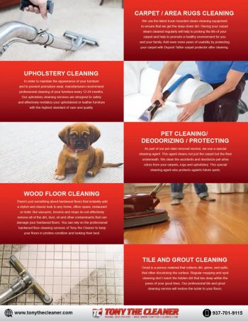 TonyTheCleaner-SELLSHEET-BACK2-01-01